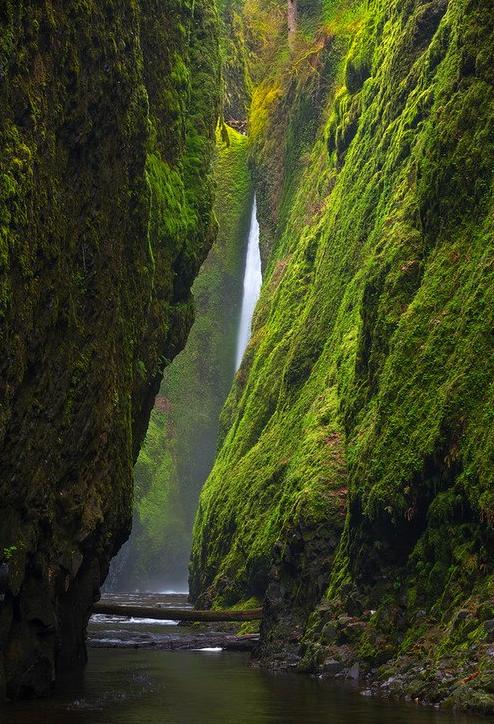 Oneonta Canyon-Oregon-USA 